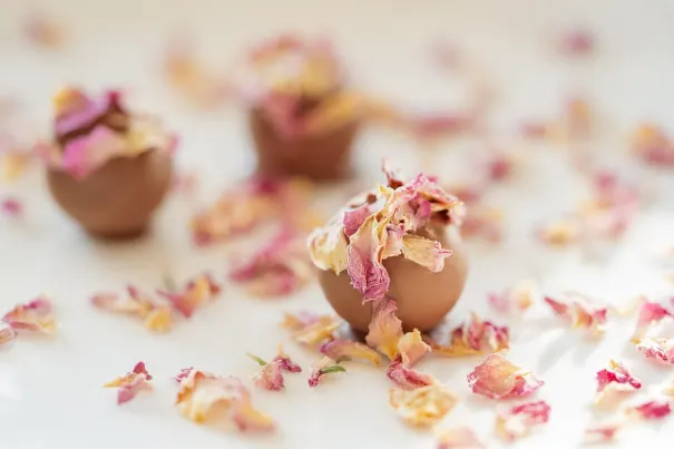 Καζίνο Τσιλλι Σπινσ Εφαρμογή Android/iOS